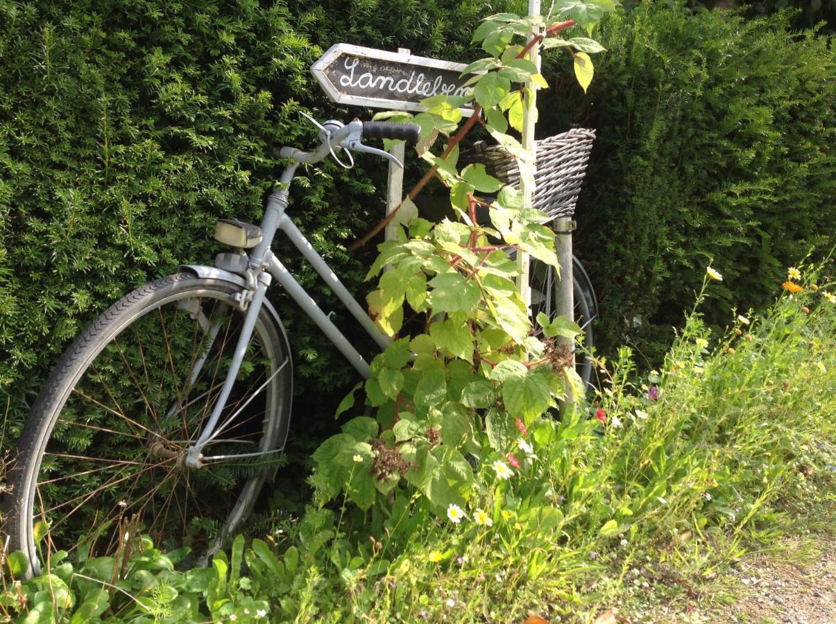 Kleine Landliebe Daire Hohwacht Dış mekan fotoğraf