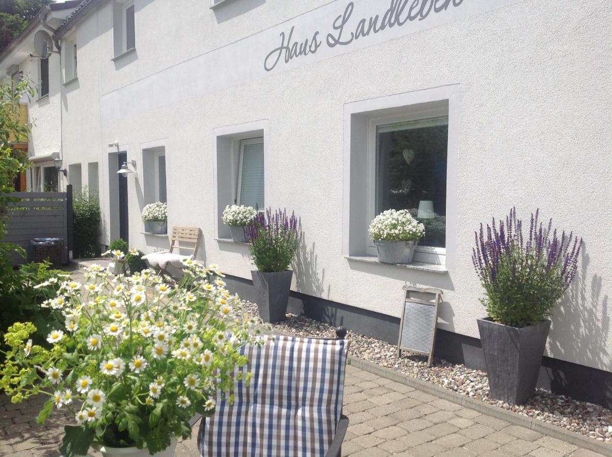 Kleine Landliebe Daire Hohwacht Dış mekan fotoğraf